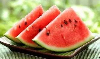 吃瓜学校网课,揭秘网课背后的趣味与挑战